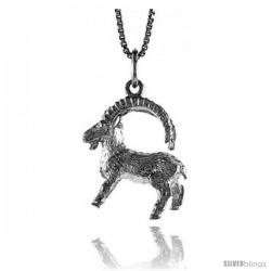 Sterling Silver Zodiac Charm for CAPRICORN 3/4 in Tall