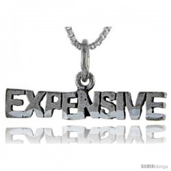 Sterling Silver Expensive Talking Pendant, 1 in wide -Style Pa922